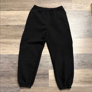 Aritzia Cozy Sweatfleece Mega Jogger